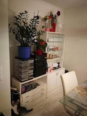 20190113_901.jpg