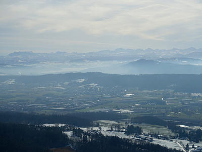 20190208_901.jpg