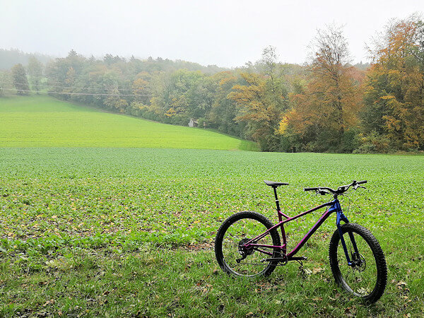 Herbst mit Hochnebel